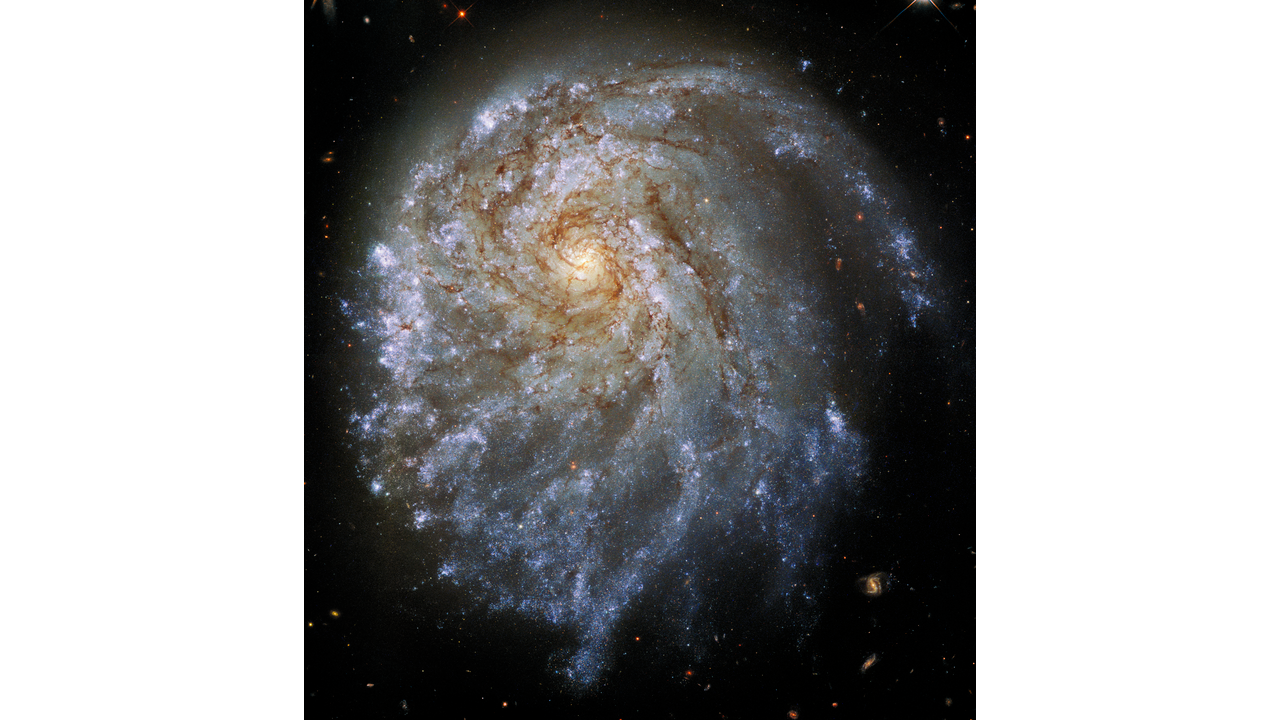 Astronomer Paul Sell’s observations of lopsided galaxy featured by NASA