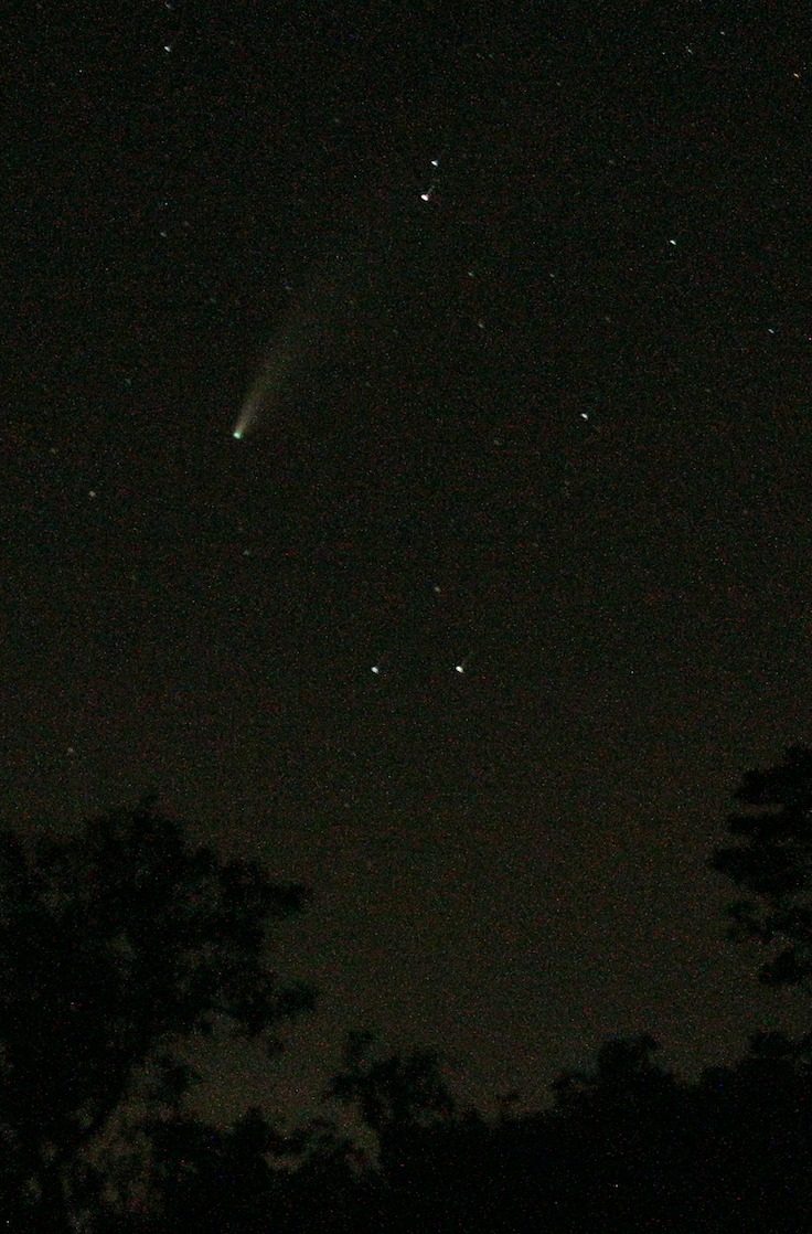 Comet NEOWISE seen from Rosemary Hill Observatory
